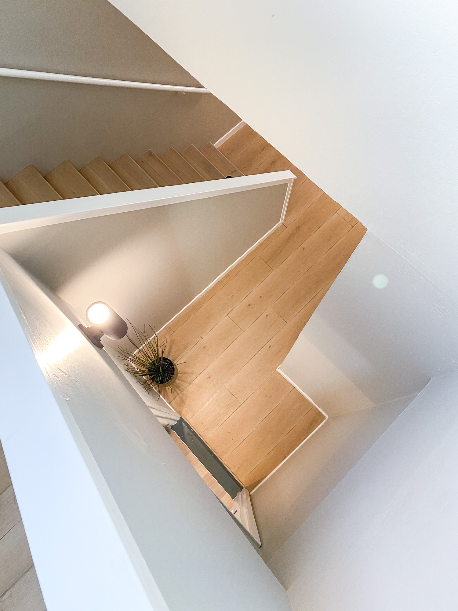 Apartment 3 photo 22